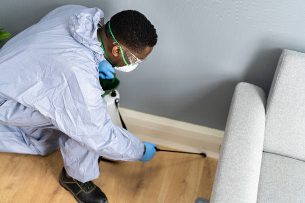 Real Estate Pest Inspections in Fife Heights, WA